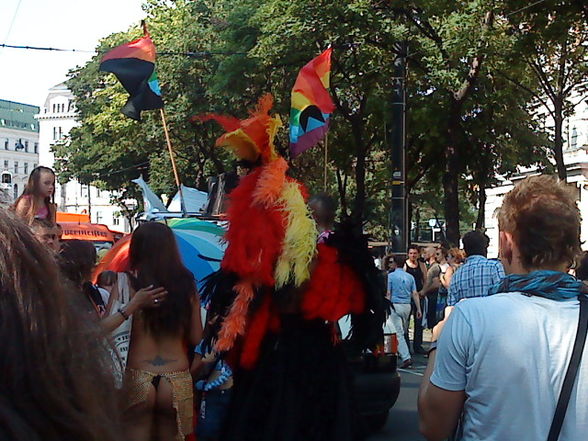 Regenbogenparade 09 - 