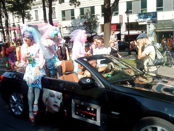 Regenbogenparade 09 - 