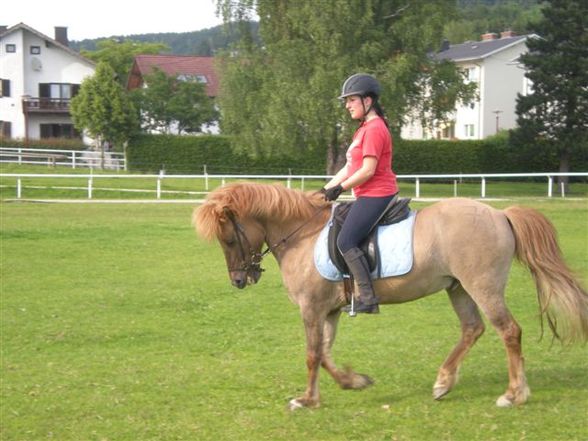 Praktikum in Ampflwang =) - 