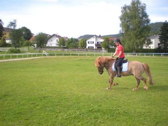 Praktikum in Ampflwang =) - 