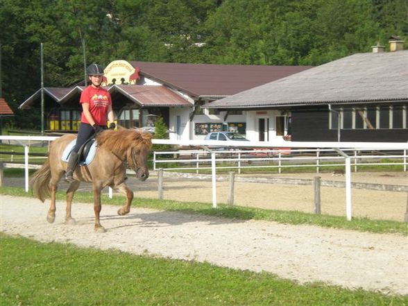 Praktikum in Ampflwang =) - 