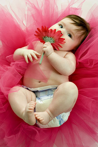 Anne Geddes x3 - 