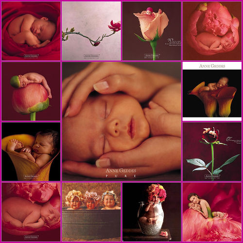 Anne Geddes x3 - 