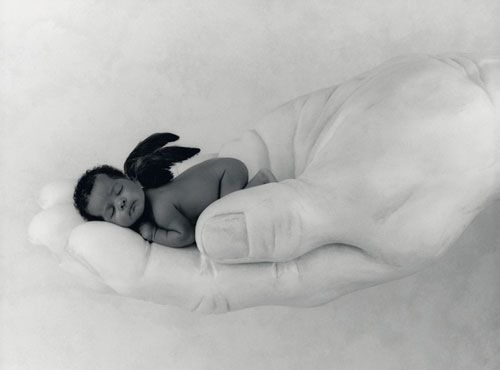 Anne Geddes x3 - 