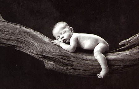 Anne Geddes x3 - 