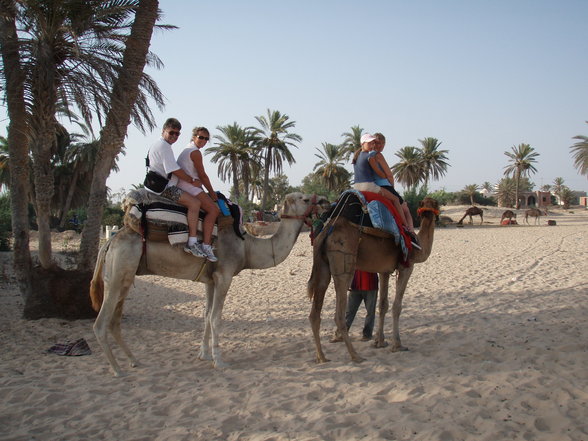 djerba - 