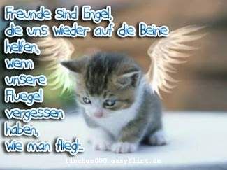 Freunde, Liebe, Freunde........  - 