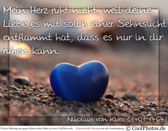 Freunde, Liebe, Freunde........  - 