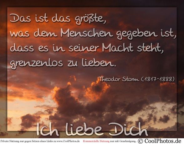 Freunde, Liebe, Freunde........  - 