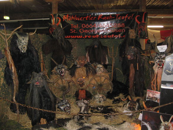 Maskenausstellung Hallein 2009 - 