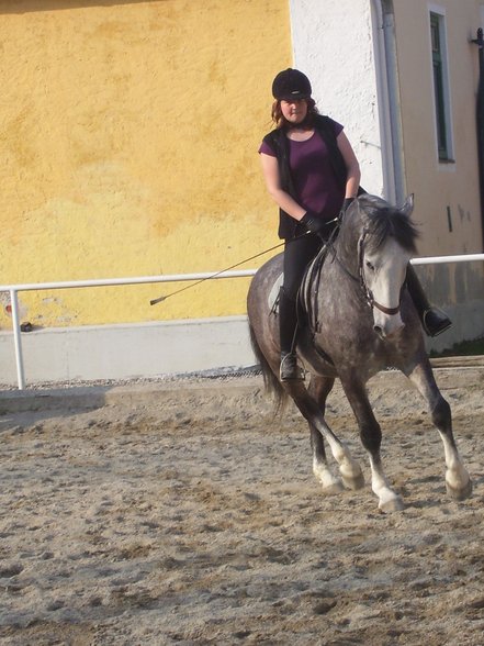 reiten in Stadl Paura - 