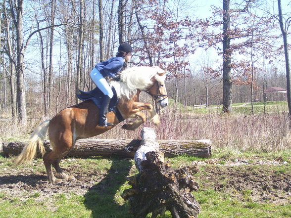 reiten in Stadl Paura - 