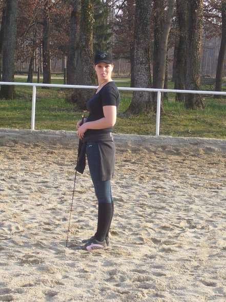 reiten in Stadl Paura - 