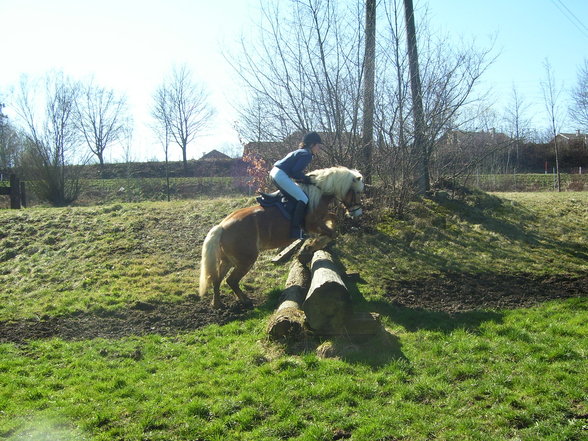 reiten in Stadl Paura - 