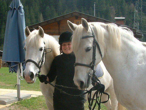 Reitarena Großglockner - 