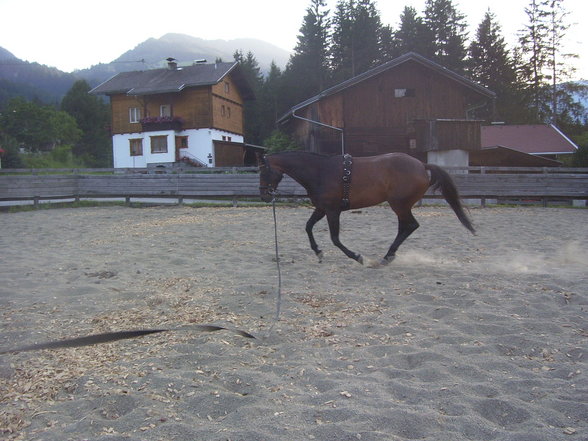 Reitarena Großglockner - 