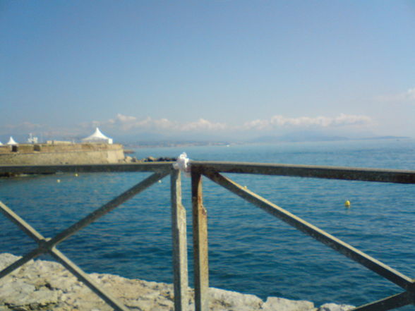 antibes 2008 - 