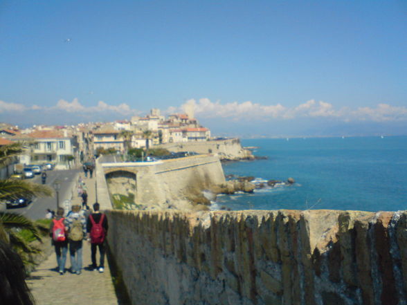 antibes 2008 - 