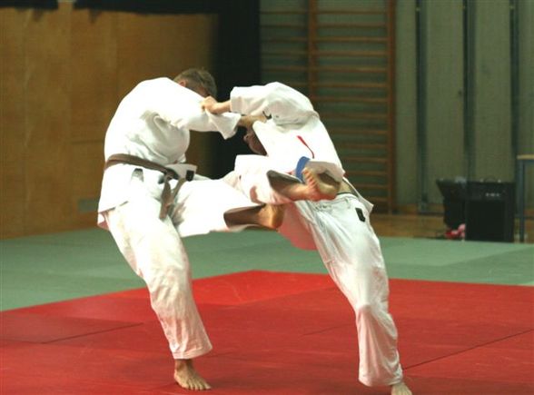 judo - 