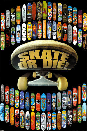 !!!! SKATE OR DIE !!!! - 