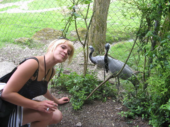 Tierpark Schmieding  - 