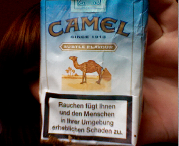 Camel - 