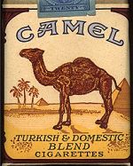 Camel - 