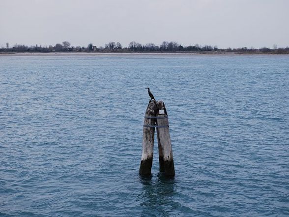 Venedig 26. - 28. März - 