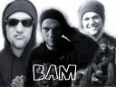 Viva La Bam - 