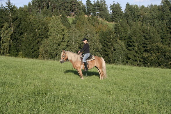 Fotoshooting mit Pferd :)) - 