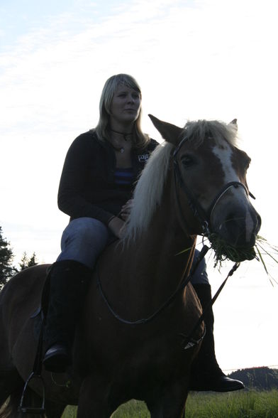 Fotoshooting mit Pferd :)) - 