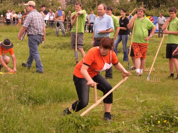 Landesmähen in Vöcklabruck 07 - 