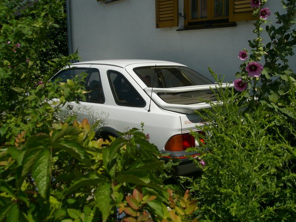 Mein Sierra XR4i - 