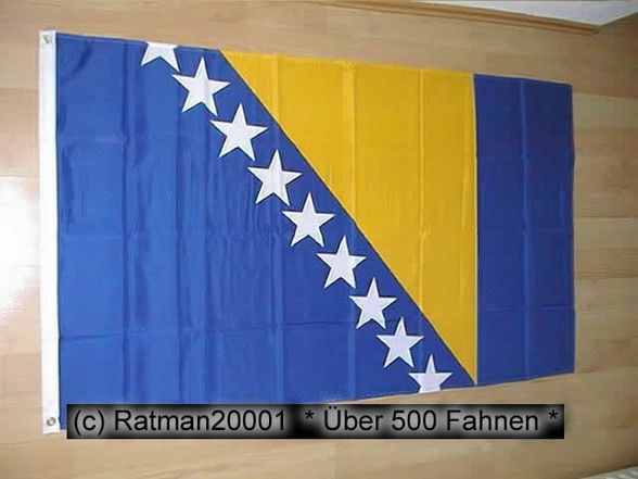 Bosna is the best fuck the rest - 