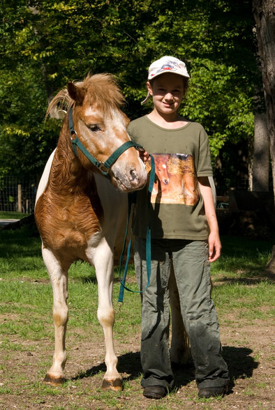 Mein ganzer Stolz - 