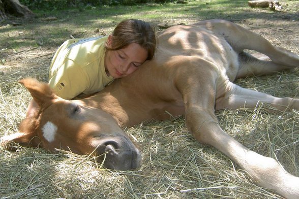 meine Tierkinder - 