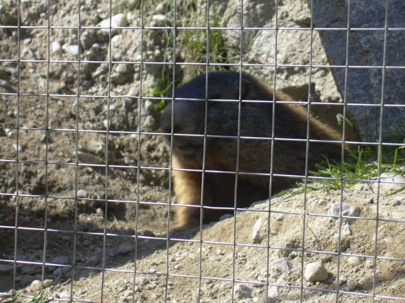 Tierpflegerkurs in Innsbruck - 