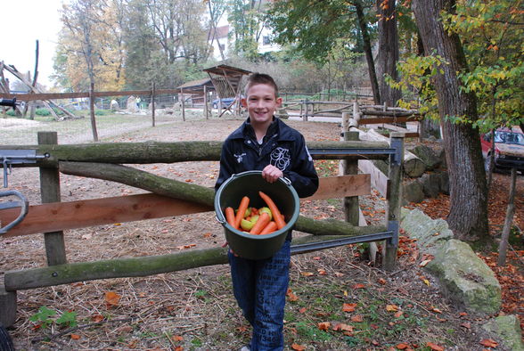 Geburtstag und Taufe von Leon und Asuli - 