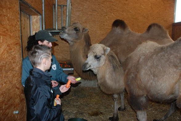 Geburtstag und Taufe von Leon und Asuli - 