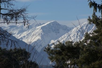 Schispringen Innsbruck 2009 - 