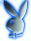 pLaYbOy - 