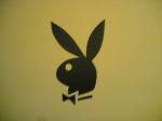 pLaYbOy - 