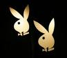 pLaYbOy - 