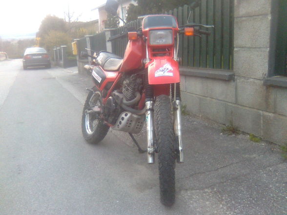 Meine Honda 600xl R - 