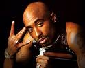 2pac4ever, total erehrenwerter mann - 