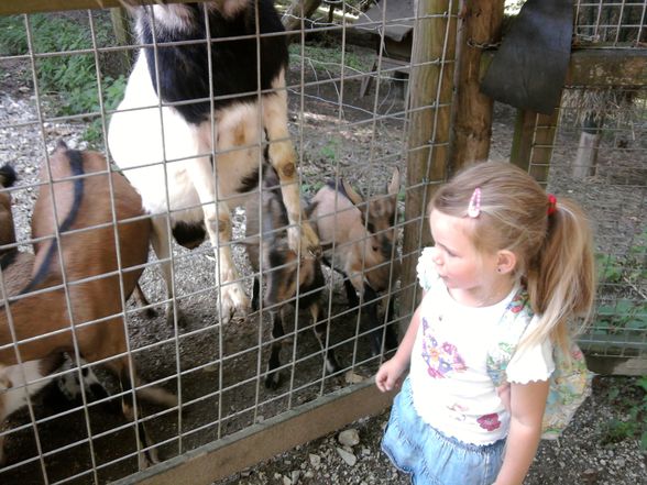 Ausflug Tierpark Haag!! - 