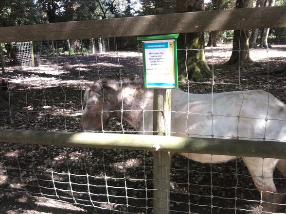 Ausflug Tierpark Haag!! - 