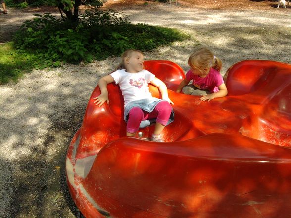 Ausflug Tierpark Haag!! - 