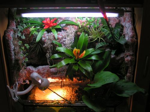 PALUDARIUM - 