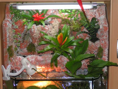 PALUDARIUM - 